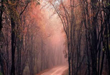 蓝鲸体育直播:波兰主帅:莱万受了点轻伤,不过我相信他能够参加下一场比赛.