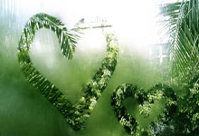 蓝鲸体育直播：八强 迈阿密站 迪米特洛夫.