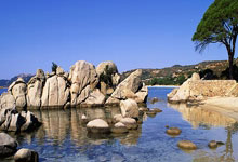 里程碑！86球14助，弗拉霍维奇在意甲已直接参与100球.